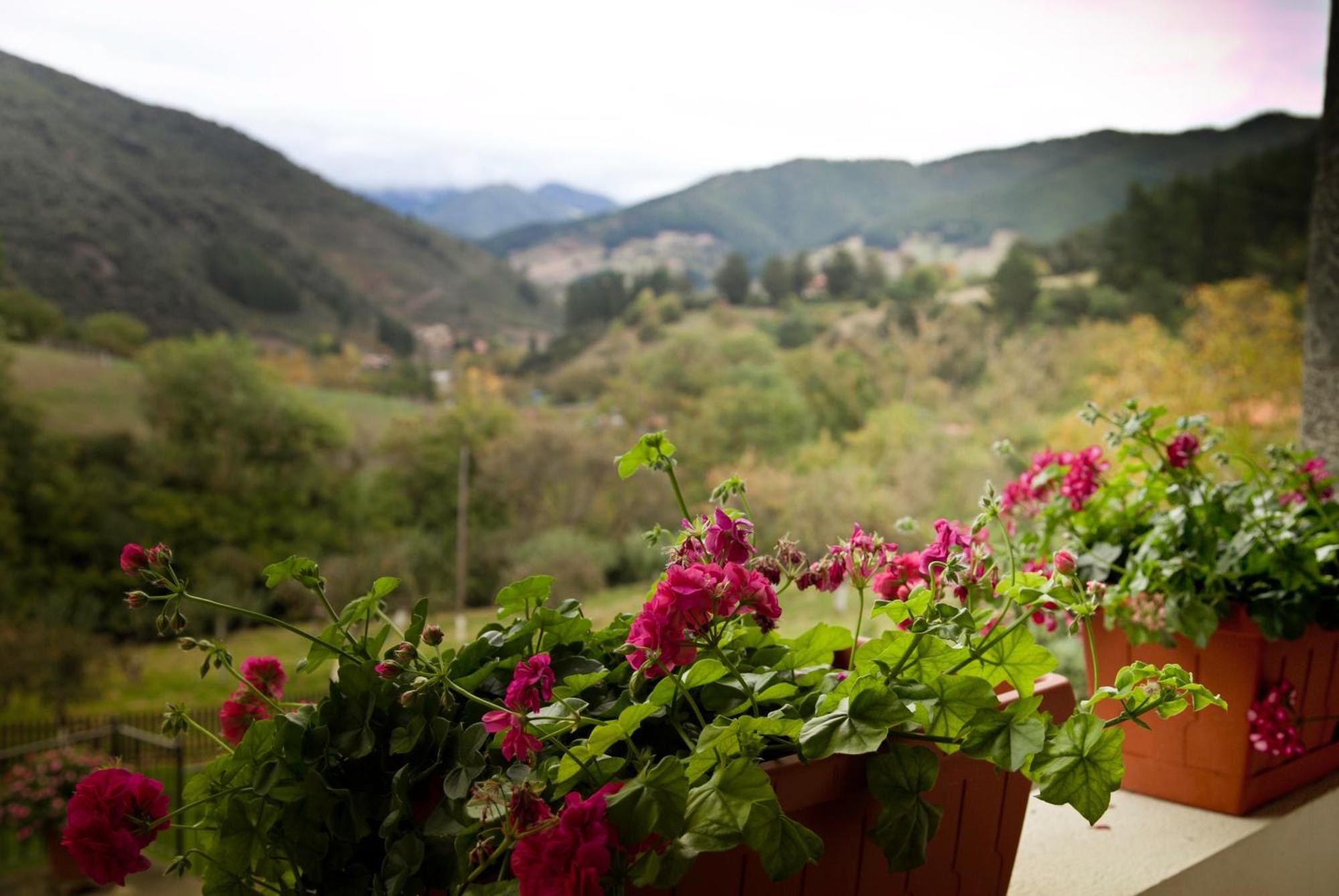 Viviendas Rurales Traldega Turieno Екстер'єр фото
